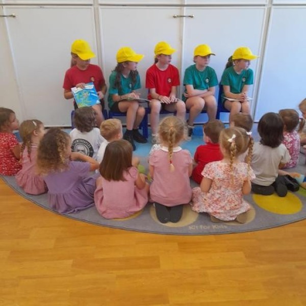 Summer Term Image